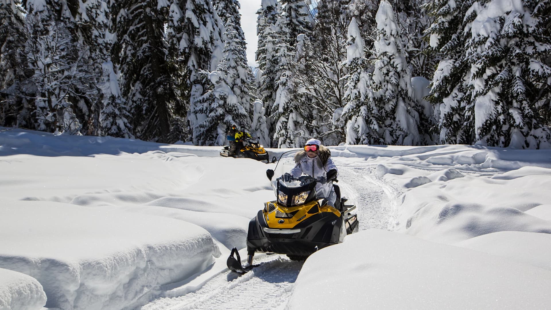 Тур на снегоходе "Снежное сафари"