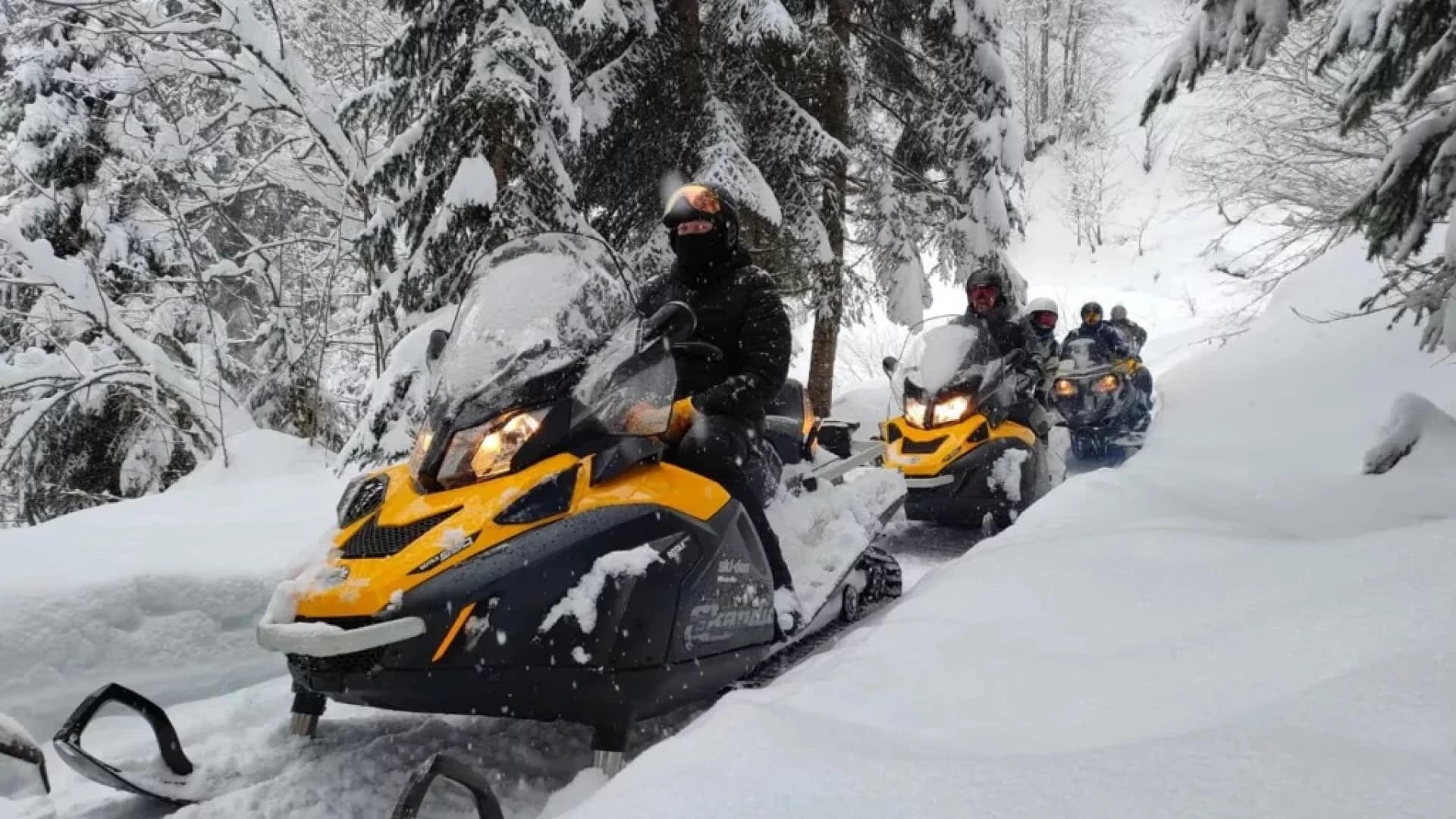 Тур на снегоходе "Дикий лес"