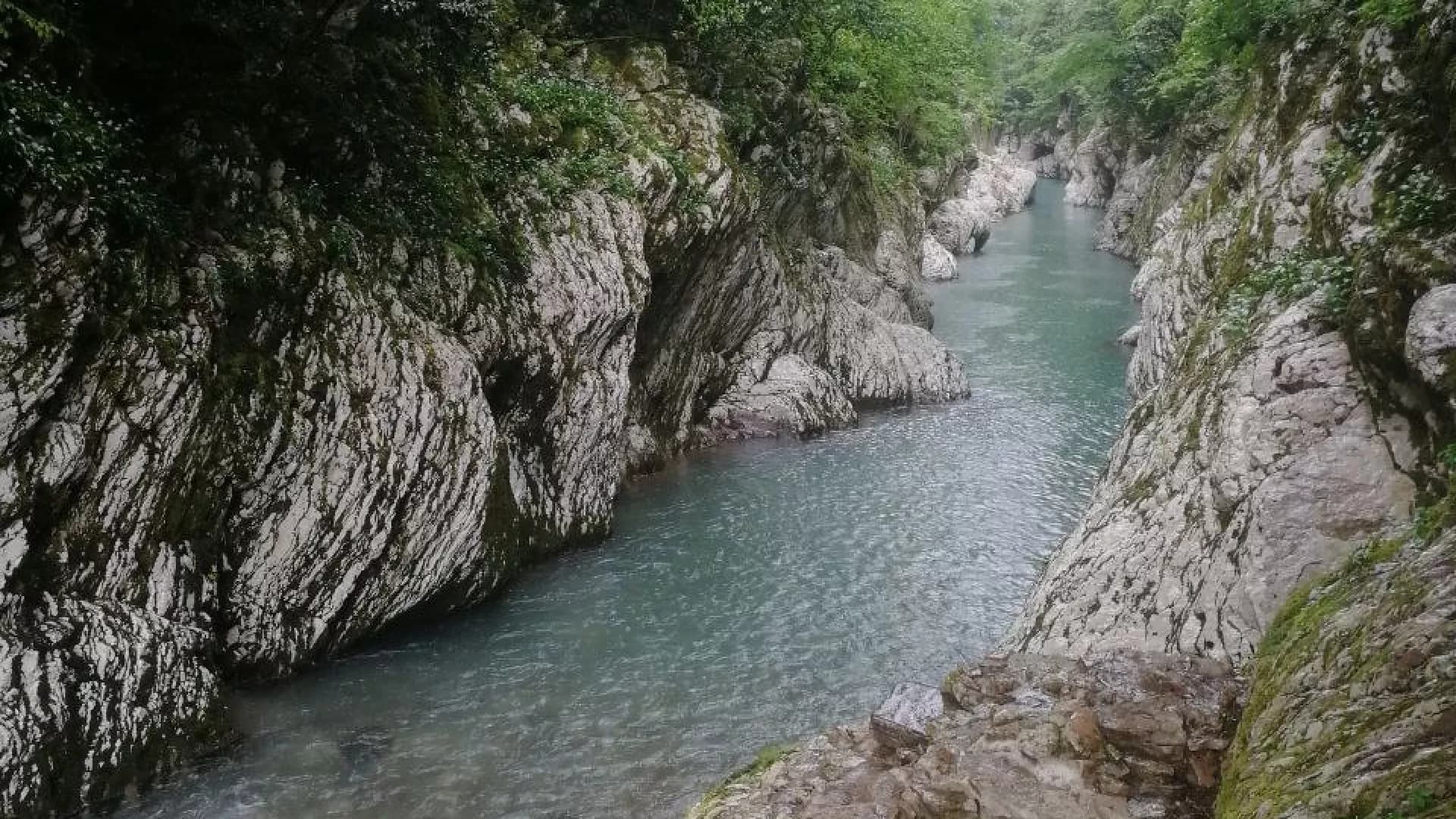 Индивидуальный тур "Природа Сочи"