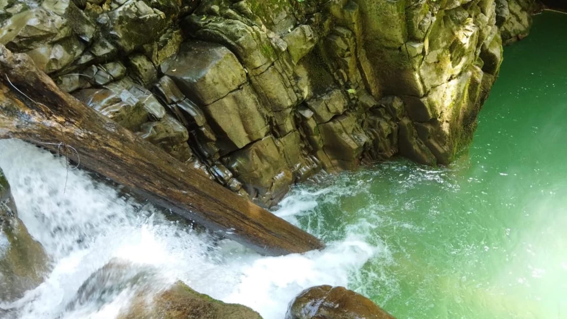 Тур пилигримов: "Легендарные места Западного Дагомыса"