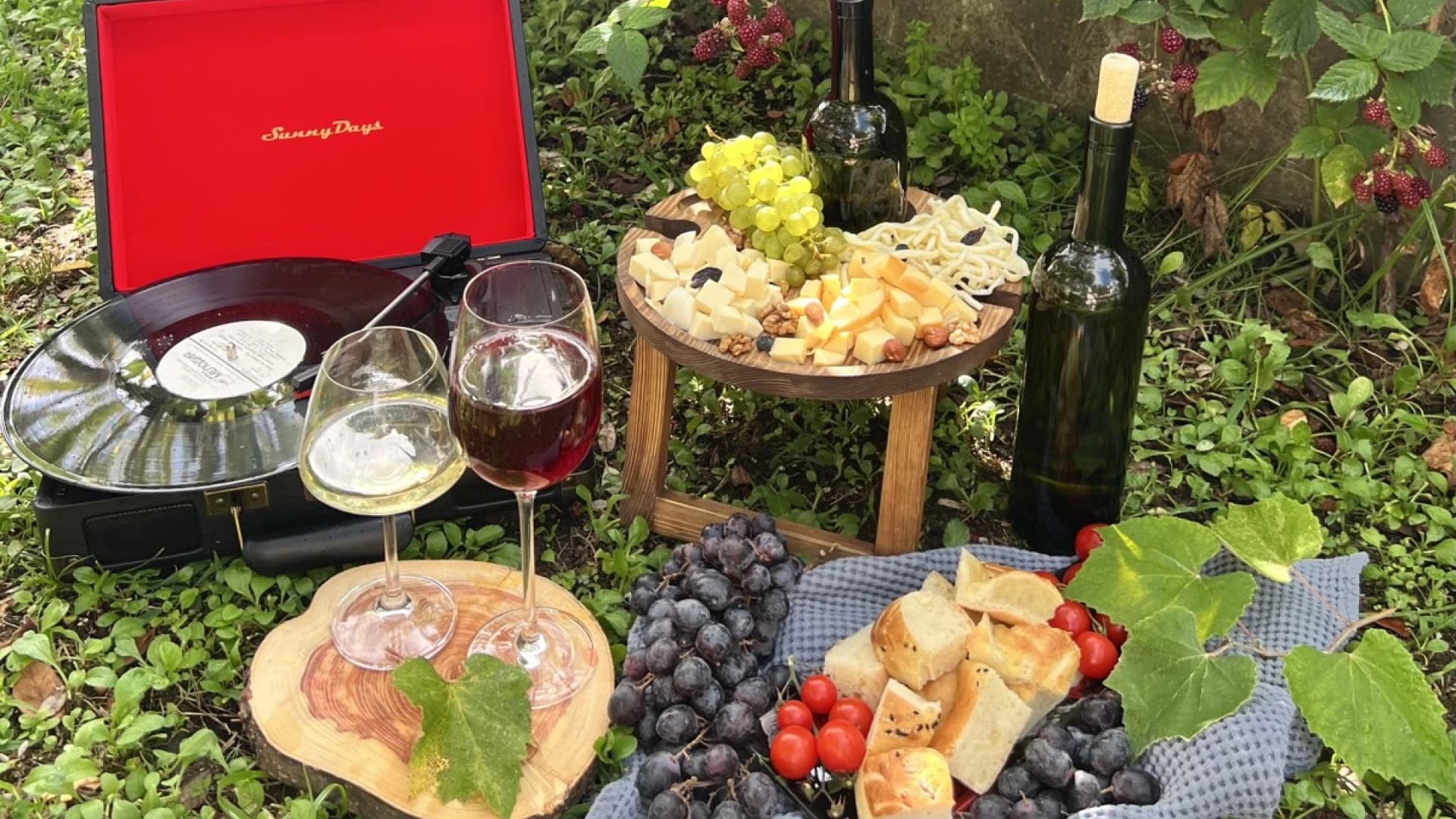 В гостях у винодела: улитки, живопись и вино. Из Адлера и Сириуса