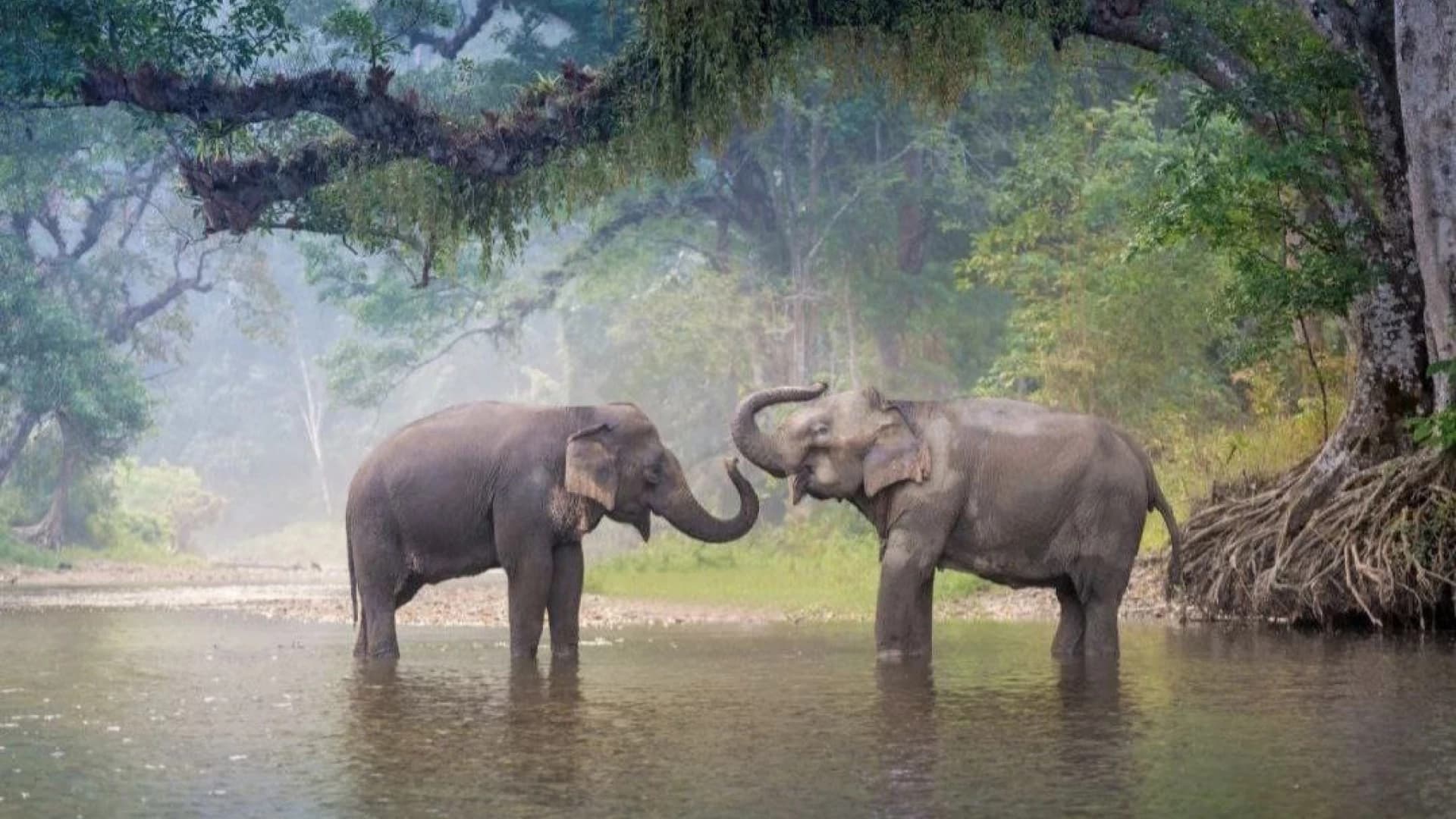 Индивидуальная экскурсия: От пещер до самшитовой рощи