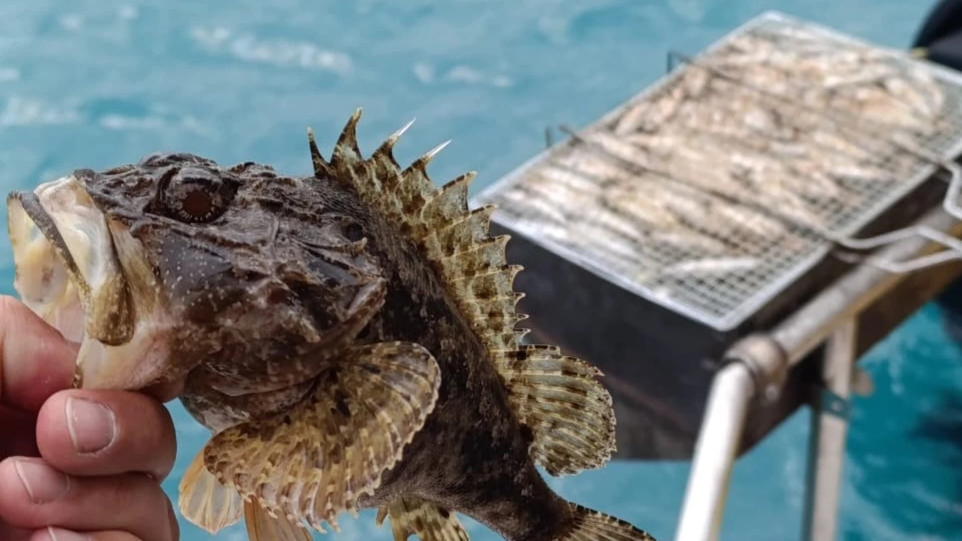 Индивидуальная морская рыбалка на катере в Сочи. Центральный порт (3 часа)