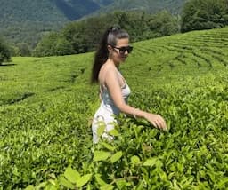 Секреты Сочи